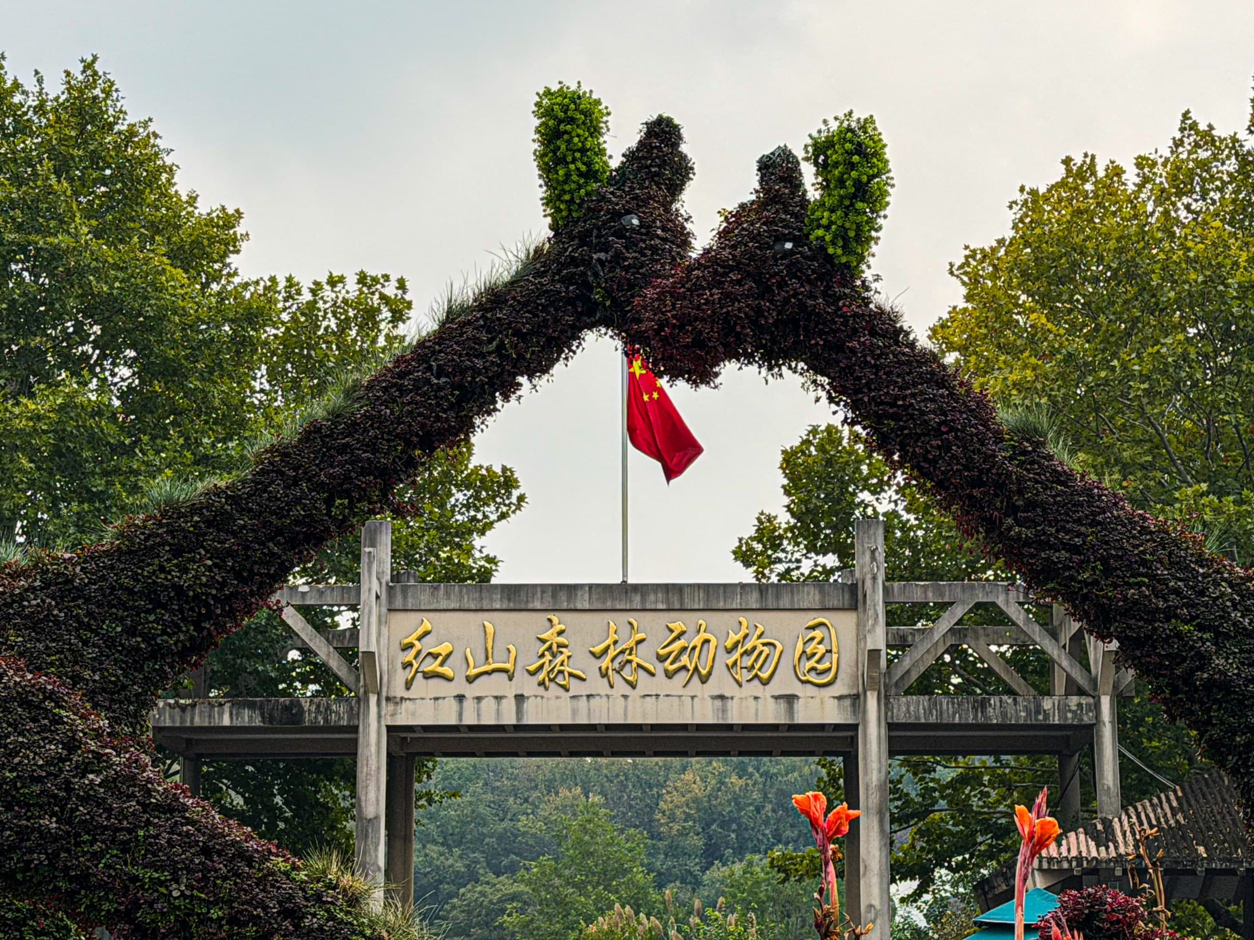南京相册第 11 张照片