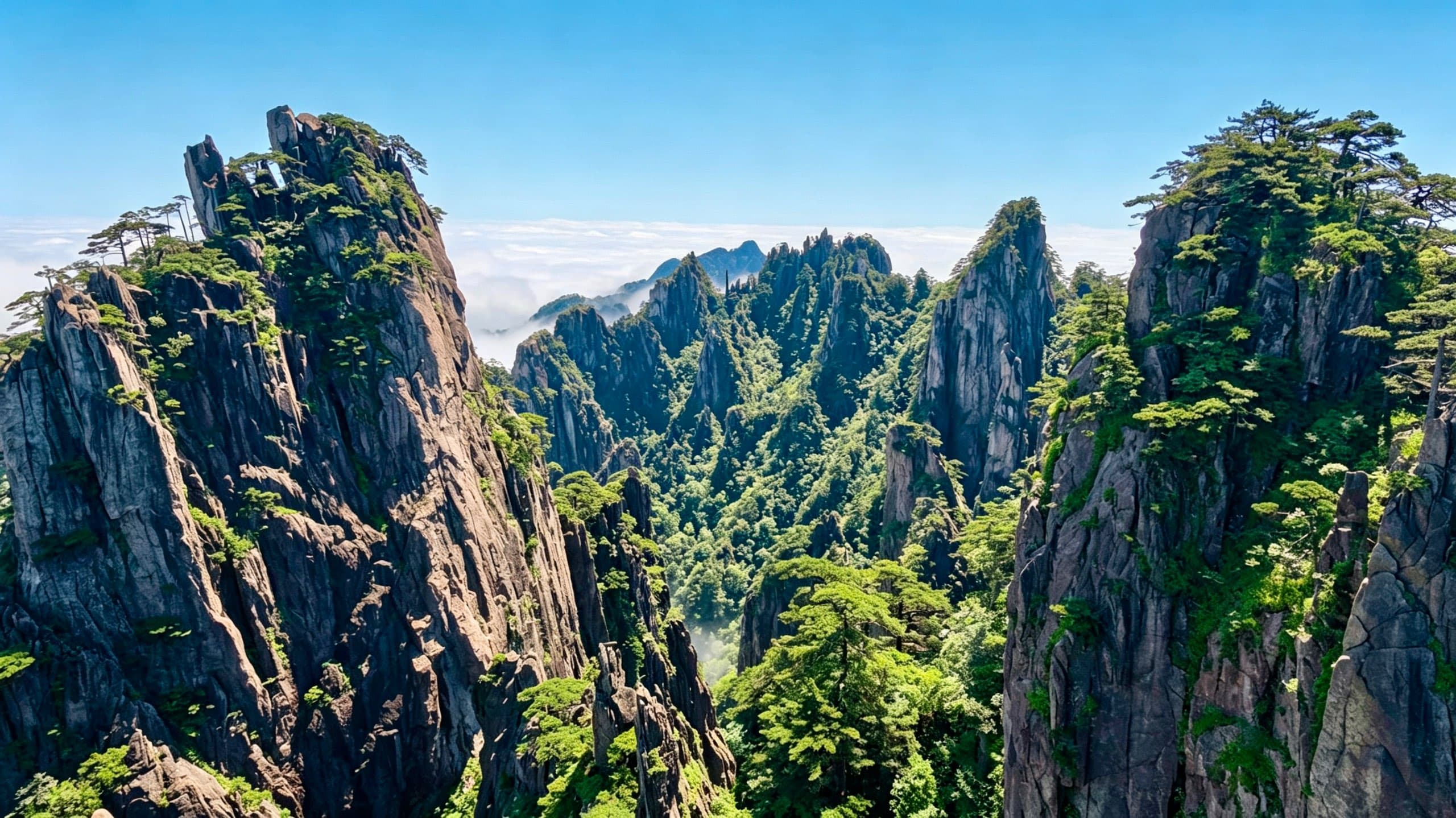 黄山相册第 14 张照片