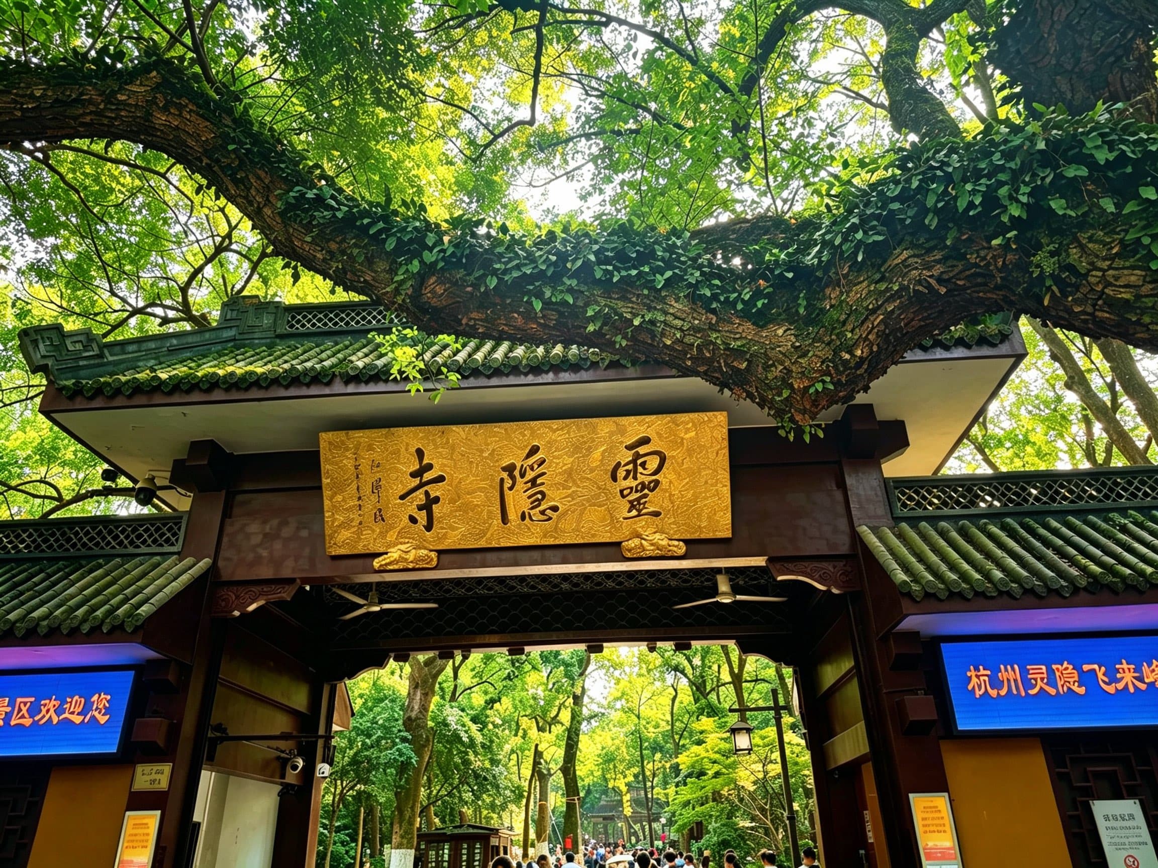 杭州相册第 21 张照片